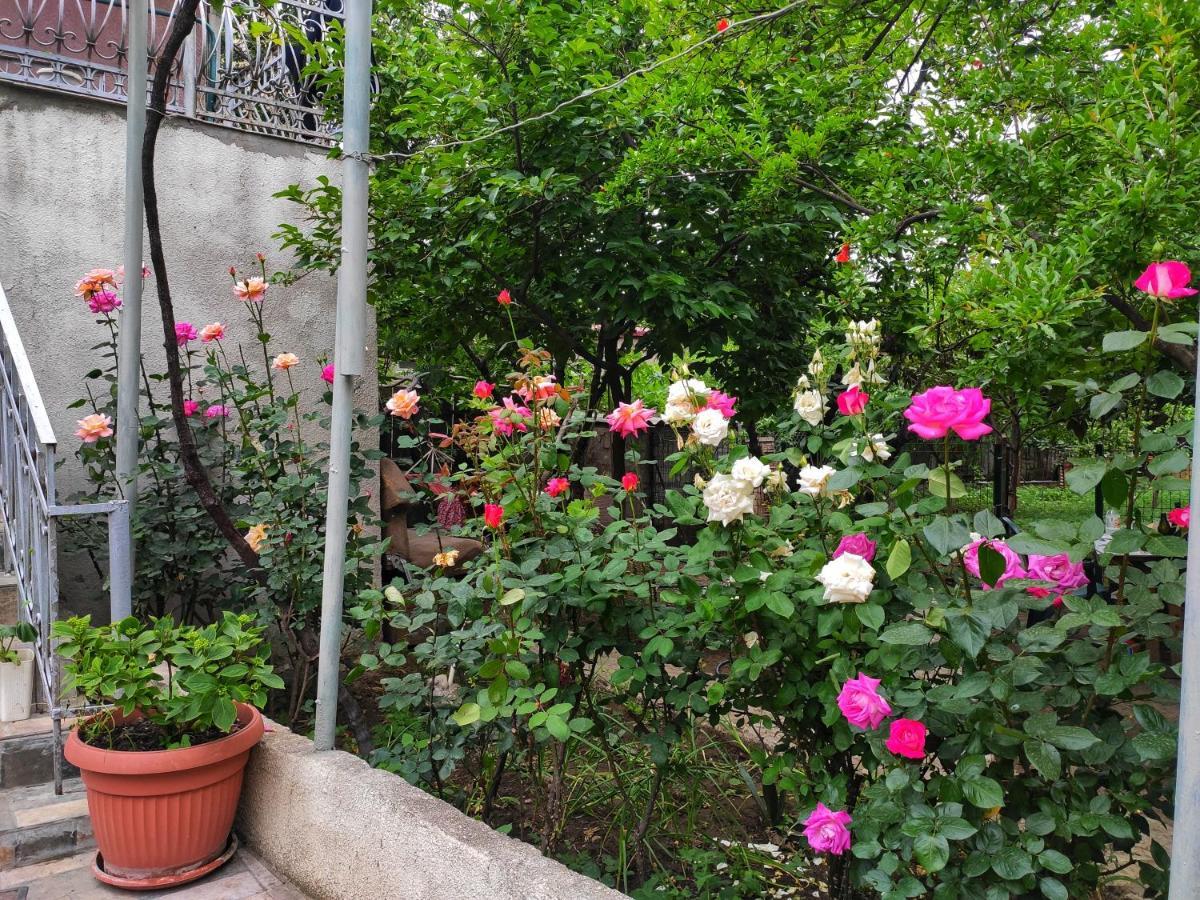 Guesthouse Ttt Тбилиси Экстерьер фото