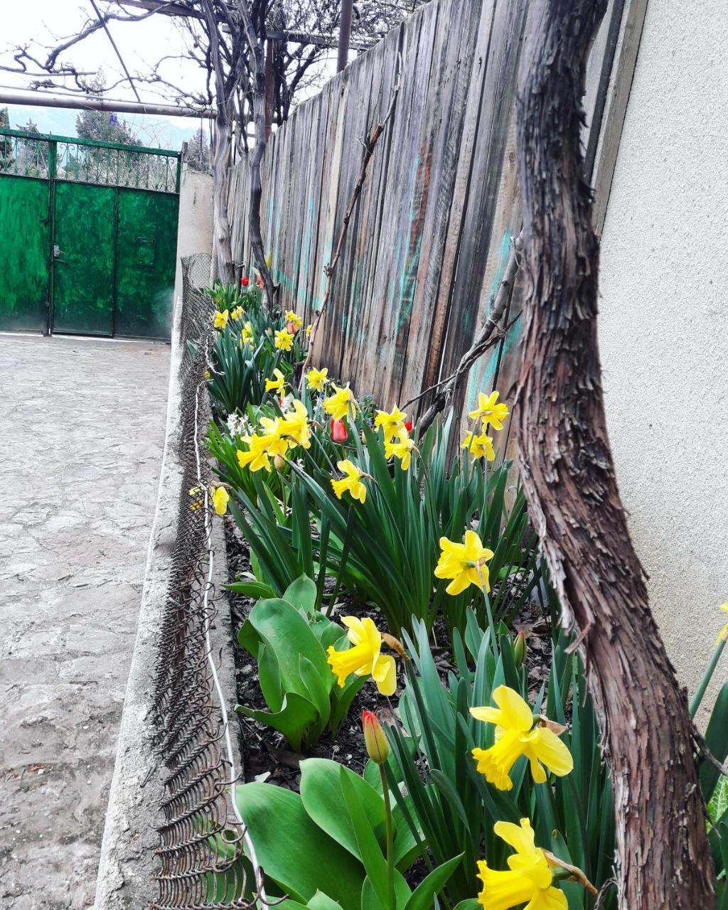 Guesthouse Ttt Тбилиси Экстерьер фото